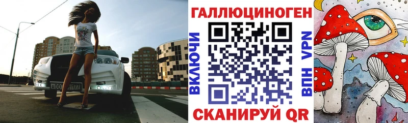 Купить Сунжа Псилоцибиновые грибы Psilocybe