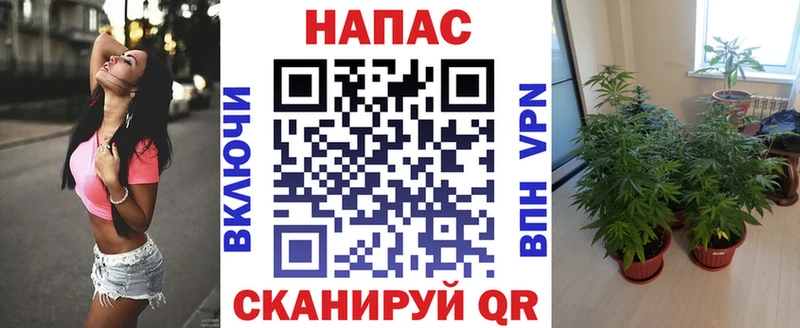 Марихуана Bruce Banner  Купить закладки  Сунжа 